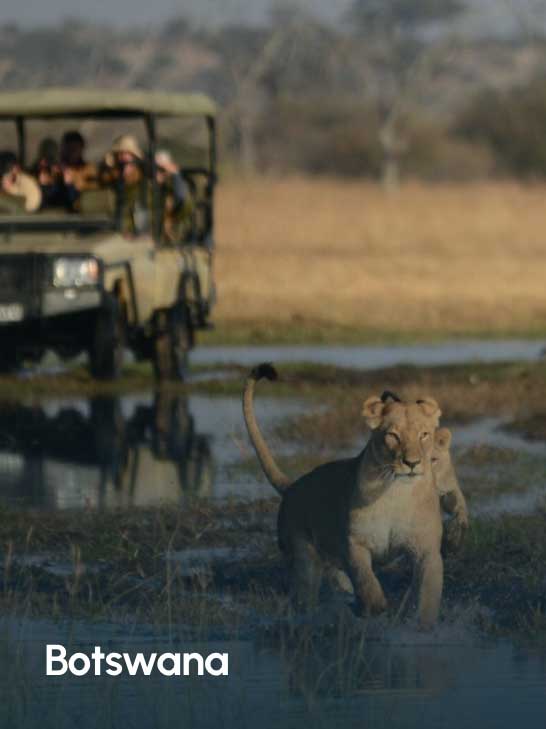 Africa Incentive and leisure travel destination management MICE DMC - Botswana