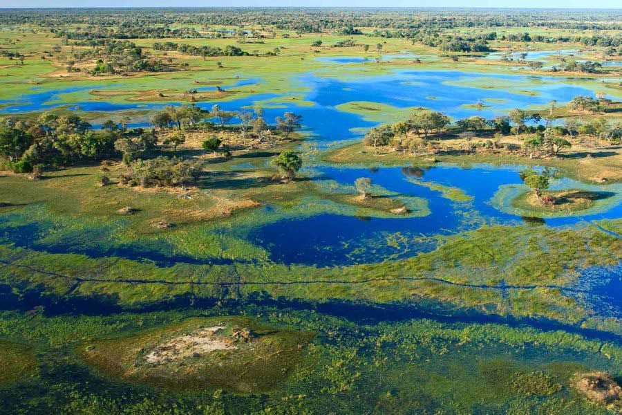 Okavango-Delta Africa Incentive and leisure travel destination management MICE DMC - Okavango-Delta