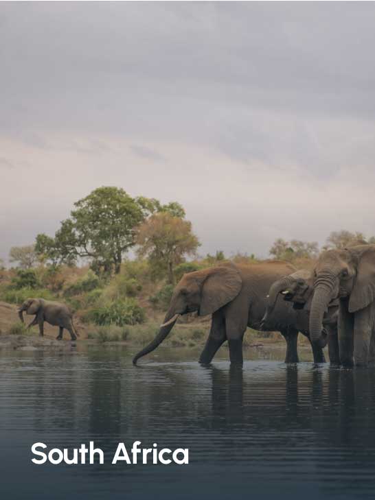 Africa Incentive and leisure travel destination management MICE DMC - South-Africa