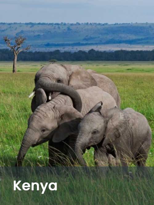 Africa Incentive and leisure travel destination management MICE DMC - Kenya