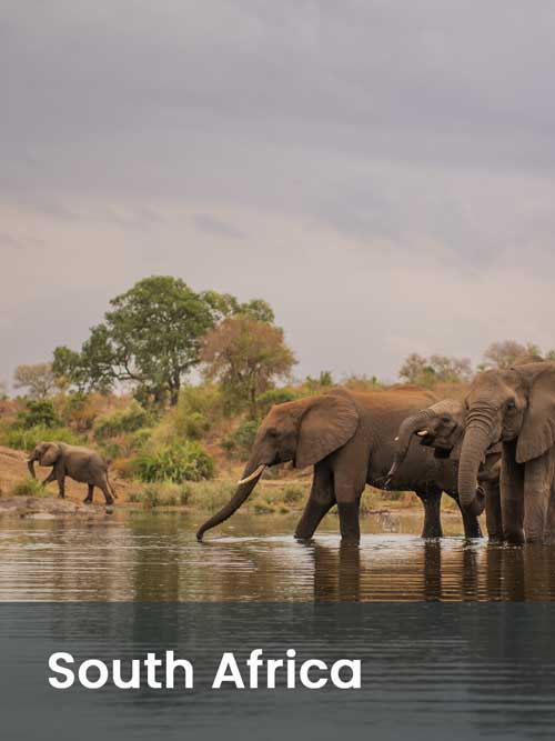 Africa Incentive and leisure travel destination management MICE DMC - South-Africa