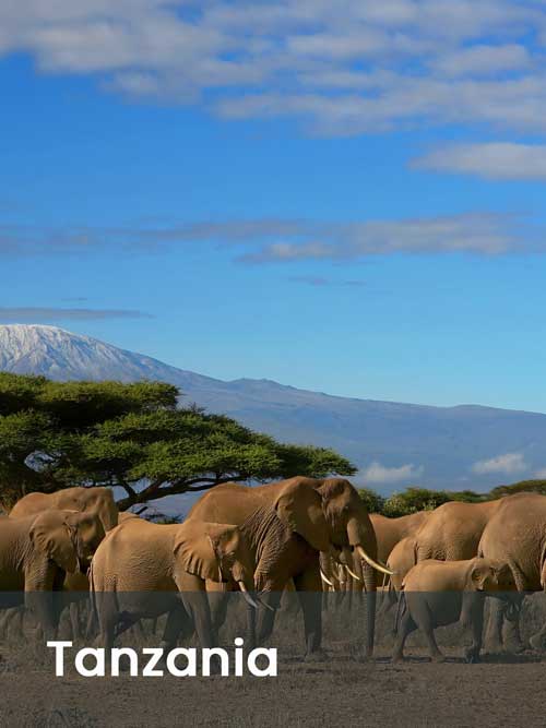 Africa Incentive and leisure travel destination management MICE DMC - Tanzania