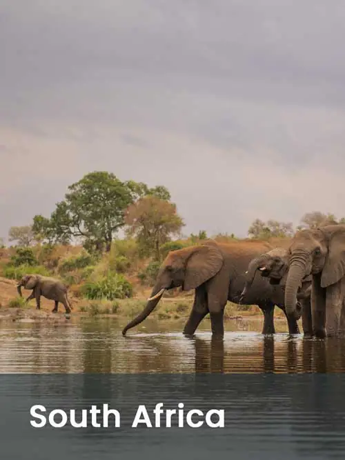 Africa Incentive and leisure travel destination management MICE DMC - South-Africa